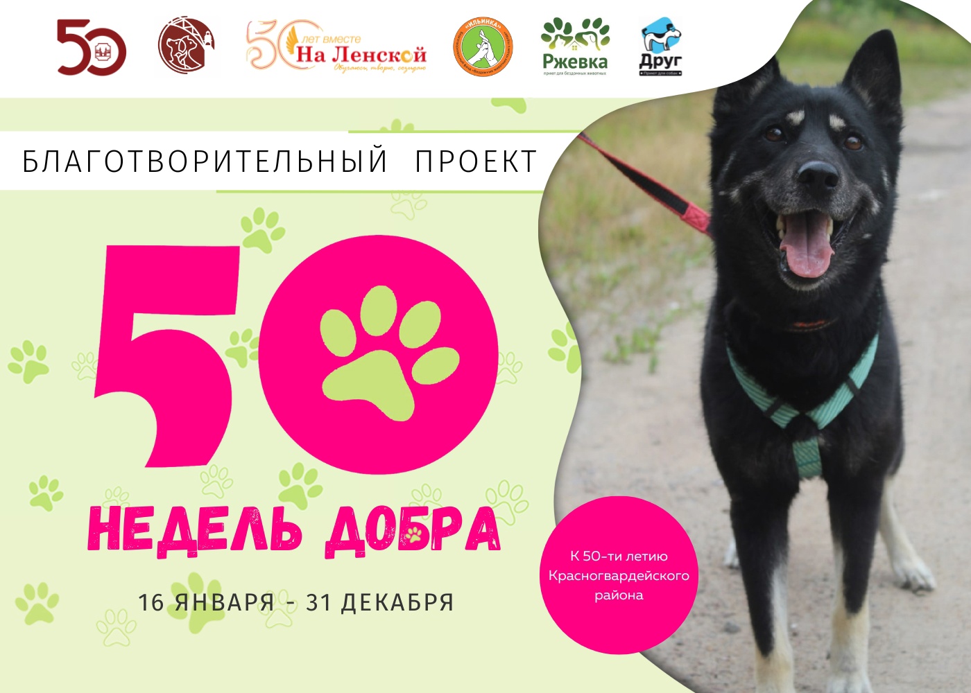 Благотворительная акция «50 недель добра» Благотворительная акция «50 недель добра»